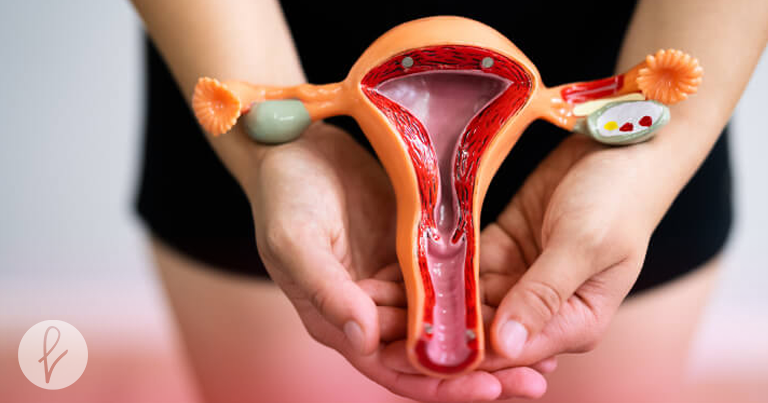 Tipos de labioplastia